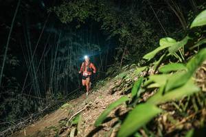 BIB: 
                            <button type="button" onclick="openModal(28145416)" class="btn btn-primary btn-sm float-right btn-popup" data-toggle="modal" data-target=".modal-high-quality">
                        <i class="fas fa-shopping-cart"></i> Add to Cart
                    </button>
                                            <button type="button" onclick="isThisMe(28145416, true)" class="btn btn-success btn-sm float-right btn-popup btn-isme hidden" data-toggle="tooltip" data-placement="bottom" title="นี่คือรูปของคุณใช่ไหม คลิกที่นี่เพื่อเอาเข้าอัลบั้ม">
                        <i class="fas fa-plus"></i> Add to album
                    </button>
                    <button type="button" onclick="isThisMe(28145416, false)" class="btn btn-warning btn-sm float-right btn-popup btn-isnotme hidden">
                        <i class="fas fa-ban"></i> Remove from album
                    </button>